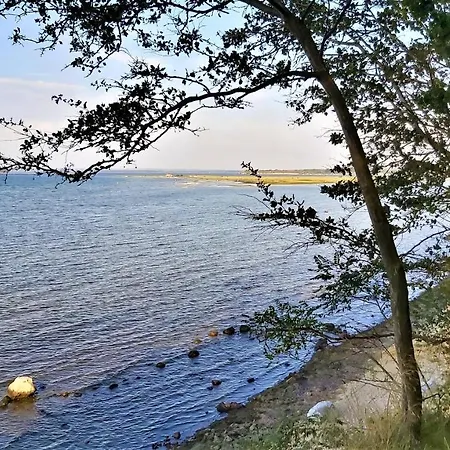 Apartment Poeler Möwe