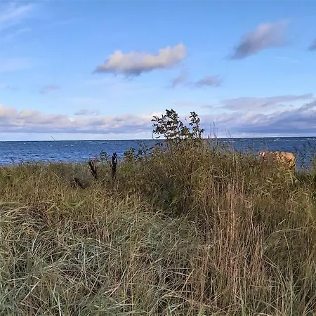 Apartment Poeler Möwe Poel