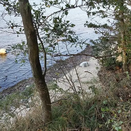 Apartment Poeler Möwe Poel